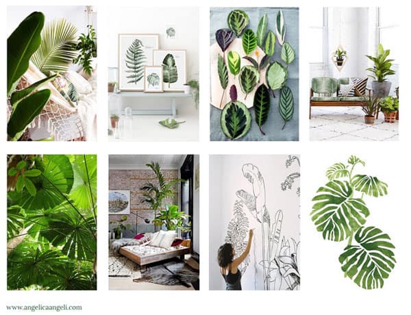 tropical-plants