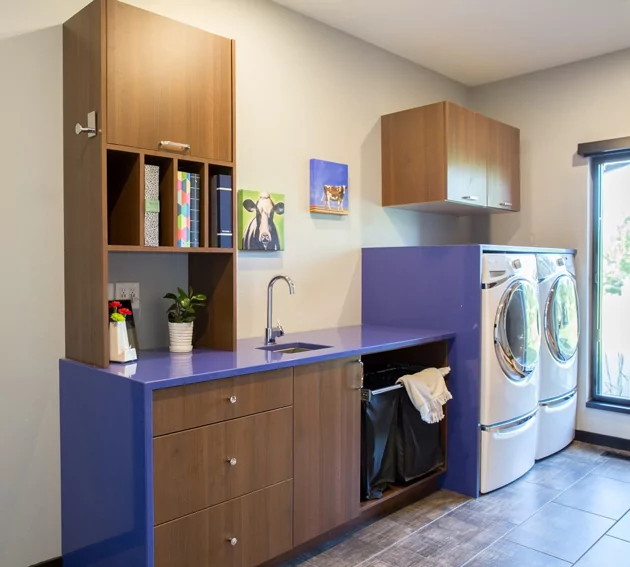 Dramatic Family Home Cedar Rapids Laundry Room Interior Design Ny