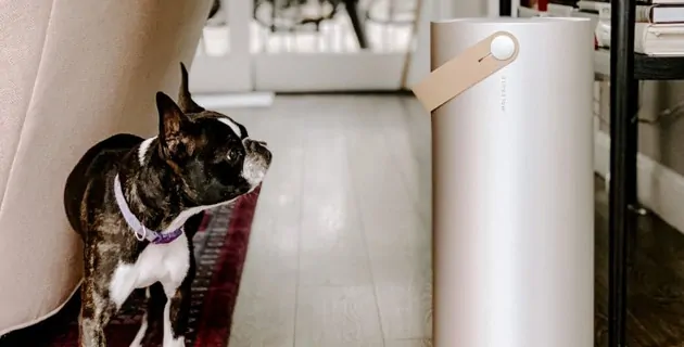 Healthy Indoor Air Quality