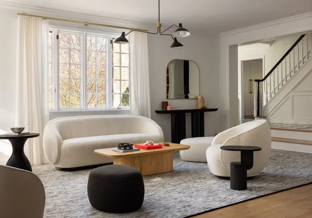 East Hills Modern Organic Living Room Interior Designs