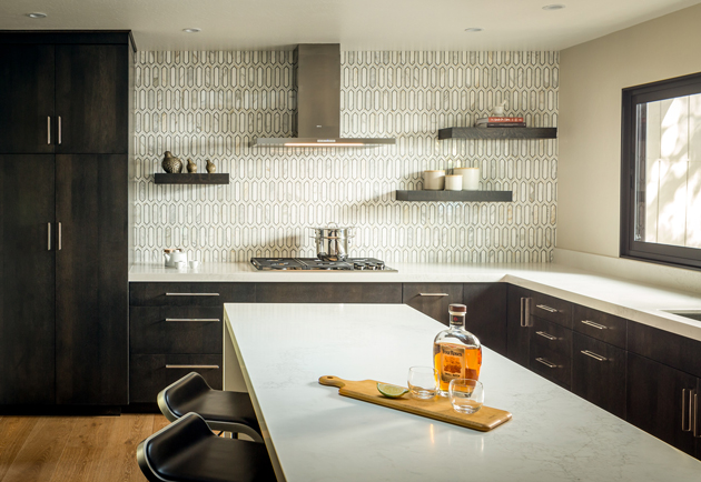 Sleek Modern Alamo Home Kitchen Design